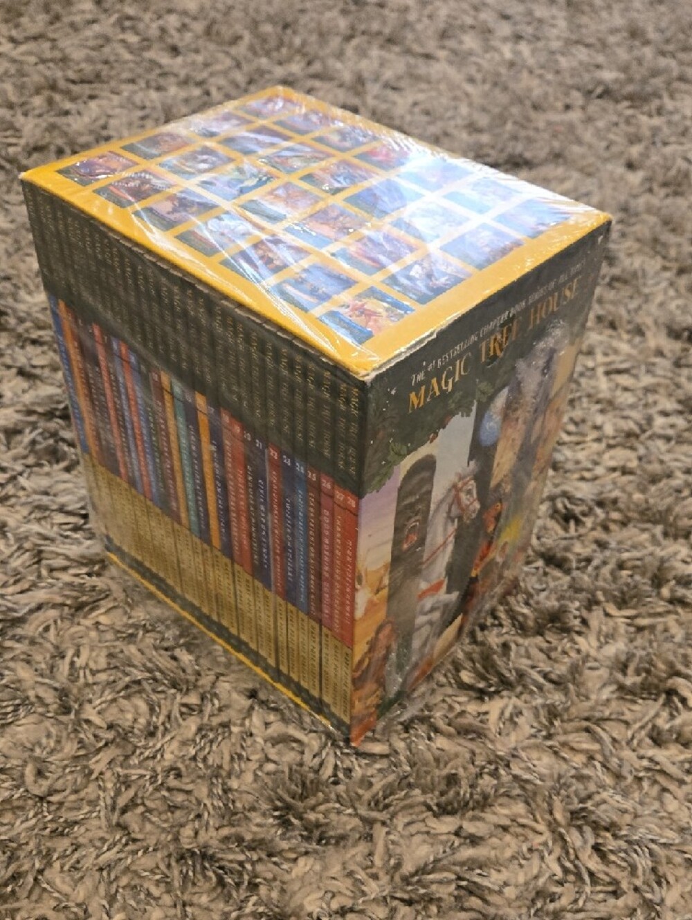Magic Tree House Book Set 1-28 - Picture 6 of 6
